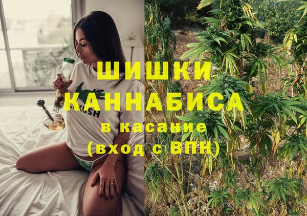 прущая мука Богородск